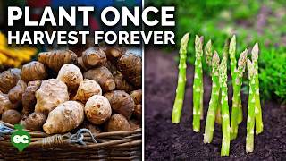 Thumbnail for Grow These 7 Perennial Crops for Endless Harvests! | Epic Gardening