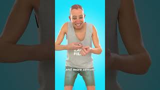 Thumbnail for Man Injects Snake Venom On Purpose 😳 | Zack D. Films