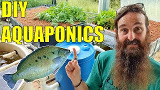 Thumbnail for Starting an Aquaponics System | How to Start & What You Need | Rob Bob's Aquaponics & Backyard Farm