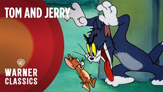 Thumbnail for 🔴 LIVE: Tom and Jerry Golden Era Live Stream! | 1940's-1970's | Warner Classics