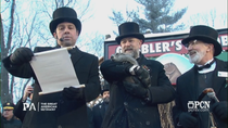 Thumbnail for Punxsutawney Phils Prediction