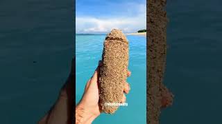 Thumbnail for Did you pass ✅ or fail ❌this challenge? Subscribe to get another chance ;) | scottsreality