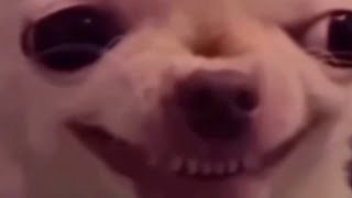 Thumbnail for When you're getting roasted in voice chat but then you hear a smoke detector chirp | FunnyMemeSpot Backup