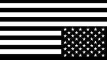 Thumbnail for The State of White America
