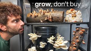 Thumbnail for I'm never buying Mushrooms again (here's why) | LifebyMikeG