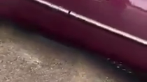 Thumbnail for ICE shooting from agent POV camera