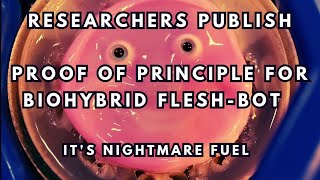Thumbnail for Researchers Publish Proof of Principle for Nightmare Flesh-Robot