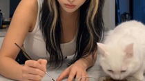 Thumbnail for Paint THIS, bitch! 