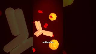 Thumbnail for How Antivenom Saves Lives 😮 | Zack D. Films