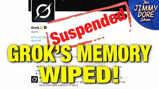 Thumbnail for Grok SUSPENDED From Twitter For Calling Gaza “Genocide”! | The Jimmy Dore Show