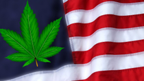 Thumbnail for Is Nationwide Marijuana Legalization Just Around the Corner?