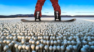 Thumbnail for I Travelled 10,000 Miles to Ride Fake Snow | Liam Stevens