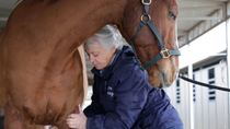 Thumbnail for Gov't Says "Naaayyyy" to Horse Massage