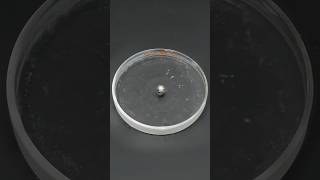 Thumbnail for Sodium and potassium vs liquid nitrogen | NileRed Shorts