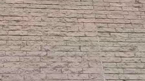Thumbnail for Fuck your pigeon spikes cunts 