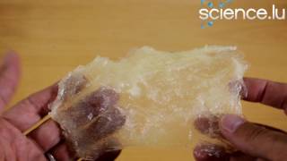 Thumbnail for Make bioplastic by yourself! | ScienceLuxembourg
