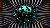 Thumbnail for Matt Ridley: The Coronavirus Pandemic Shows 'That There's No Monopoly on Wisdom'