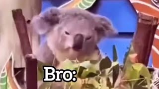 Thumbnail for Bro, do you have any other hobbies apart from gaming? Bro: | FunnyMemeSpot Backup