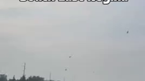 Thumbnail for Indian Kite Festival