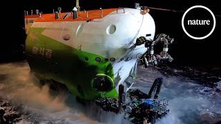Thumbnail for The ocean's deepest animal ecosystem | nature video