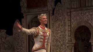 Thumbnail for Marianela Nunez and Vadim Muntagirov in The Nutcracker (2018) | ROH | Nightattheballet