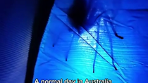 Thumbnail for australia