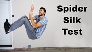 Thumbnail for Is Spider Silk Stronger Than Steel? | The Action Lab
