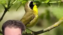 Thumbnail for Plants don't like rap music