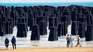 Thumbnail for Here's Why Canada Can't Build Its Own Refineries, Even Though It Produces Millions of Tons of Oil | Fresh Tech