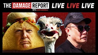 Thumbnail for Trump Can't Handle the TACO Truth | Good Riddance Musk! | RFK Jr, Ostrich Enthusiast | The Damage Report