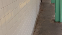 Thumbnail for Just An Average Day In An NYC Subway Station