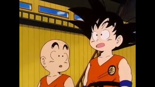 Thumbnail for Goku and Chiaotzu showing off their logic skills | Cappucosmic
