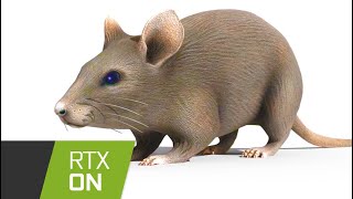 Thumbnail for RTX horizontally spinning rat | Techlin