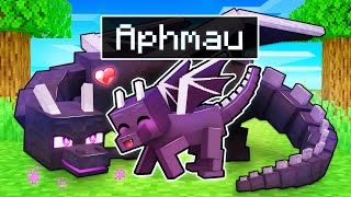 Thumbnail for Playing As a LOVING DRAGON In Minecraft! | Aphmau