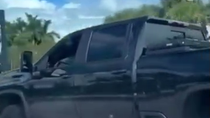 Thumbnail for Florida Goats