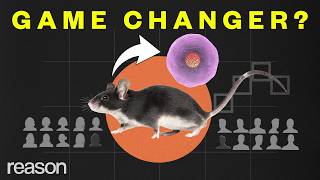 Thumbnail for This mouse has two biological dads?! | ReasonTV