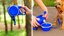 Thumbnail for Pet Gadgets and Hacks Every Pet Owners Should Know