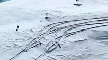 Thumbnail for Two greyhounds chasing a rabbit.