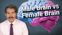 Thumbnail for Stossel: The Science Around Male Brains vs. Female Brains