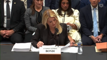 Thumbnail for Spam blondi Epstein hearing quickly devolves into...care to guess?...a screeching match over who loves kikes more