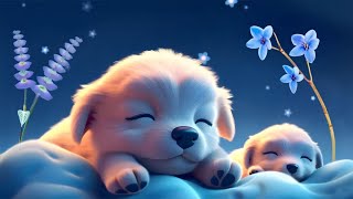 Thumbnail for Sleep Instantly Within 3 Minutes - Insomnia Healing, Stress Relief, Anxiety and Depressive States | Mellow Melodies