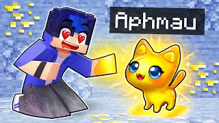 Thumbnail for Playing Minecraft as a HELPFUL Golden Kitten! | Aphmau