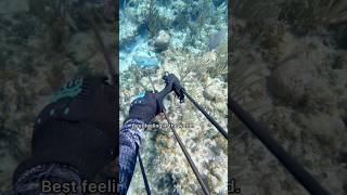 Thumbnail for Catching Fish With An Underwater Crossbow | Nick Kratka