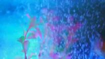 Thumbnail for Bubbles