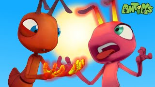 Thumbnail for 🔴 ANTIKS LIVE! 24/7 Live Stream of Funny Cartoons and Animation For Kids! Fun Slapstick Comedy 🔴 | Moonbug Kids - Funny Cartoons & Animation