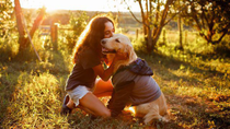 Thumbnail for Give Your Pet Care Using These Tips