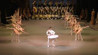 Thumbnail for 18/12/19 Maria Khoreva and Xander Parish entree and adagio Act III | Ballet Opera2
