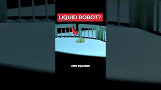 Thumbnail for Scientists Create Shapeshifting Liquid Robots | Dr Ben Miles