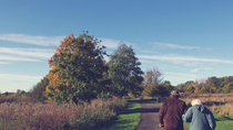Thumbnail for Exploring the Best Investment Options for Retirement 