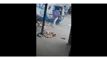 Thumbnail for Police Delivering Firewood
